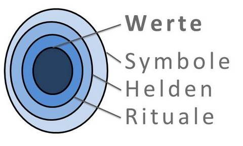 Kulturzwiebel
