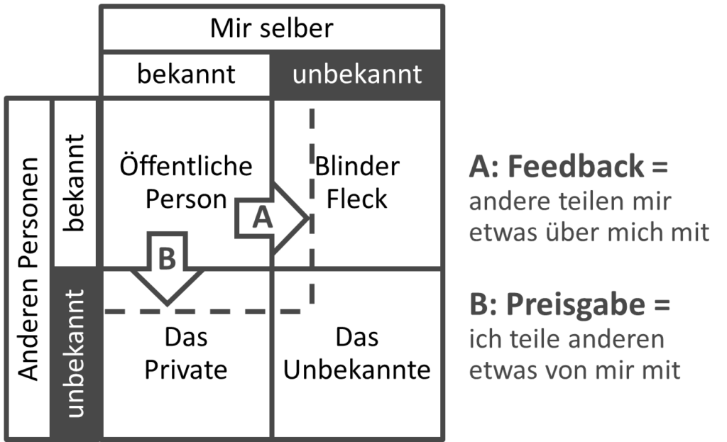 Johari-Fenster