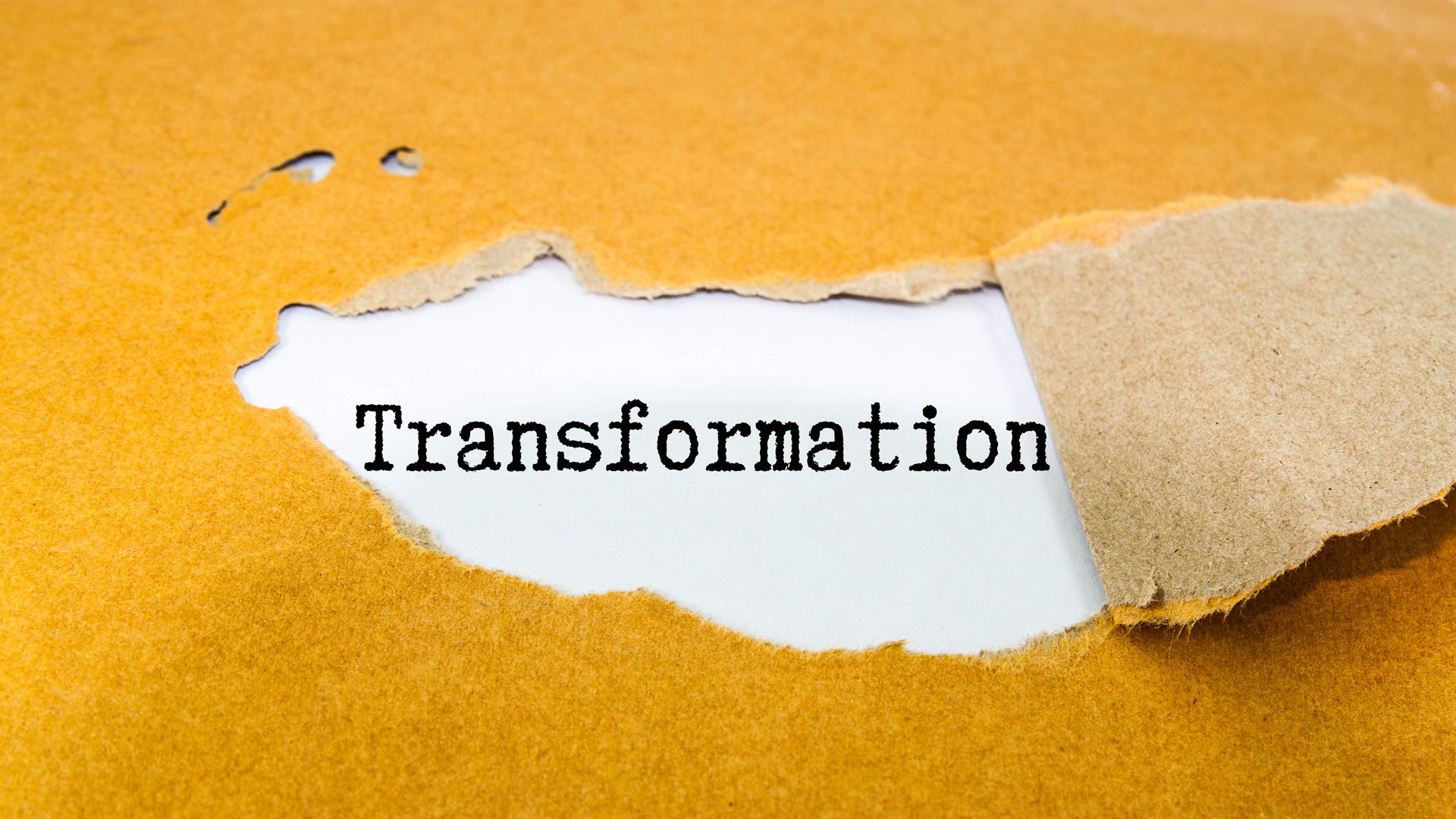 Mit klarem Mandat wird HR zum Transformation Partner